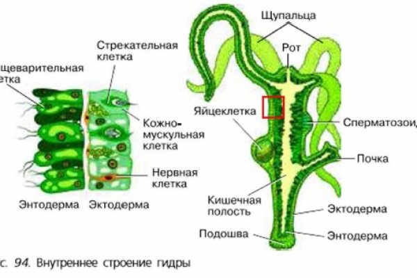 Кракен переходник ссылка