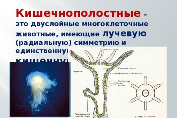 Kraken пользователь не найден при входе